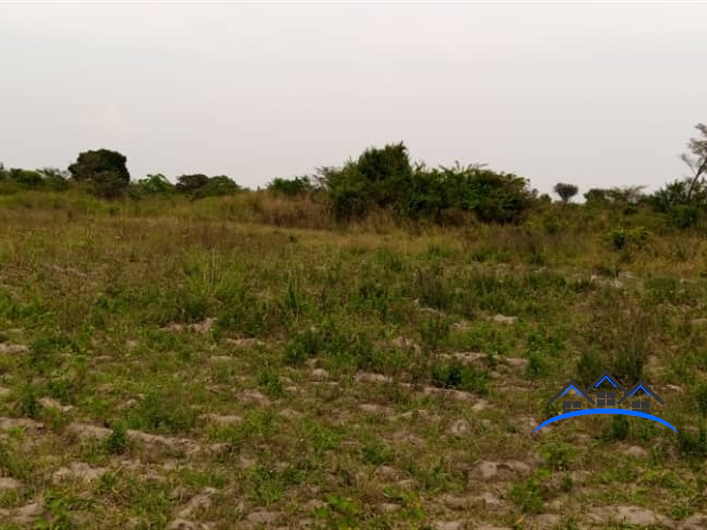 Agricultural Land for sale in Kayonza Kayunga