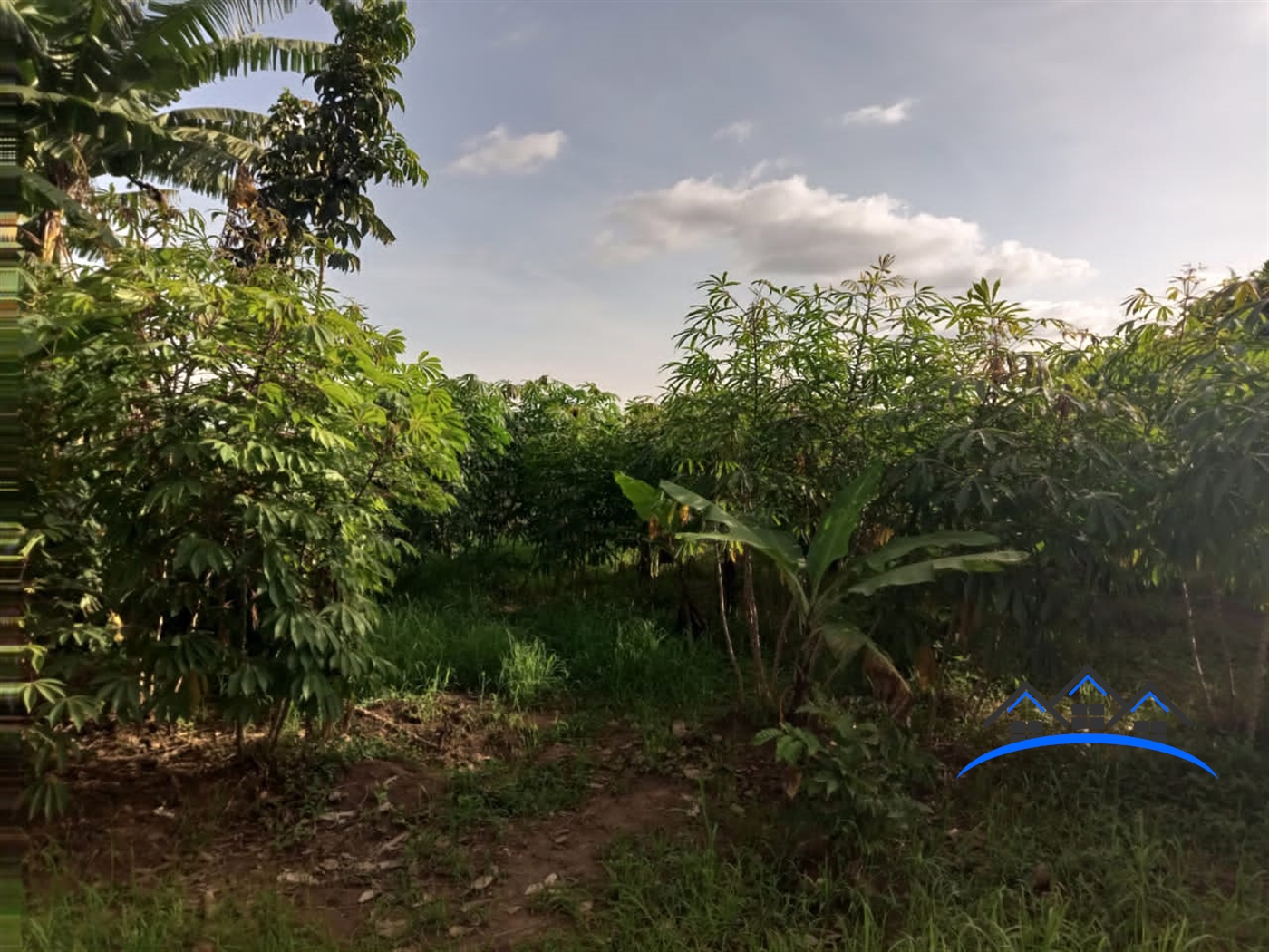 Residential Land for sale in Kigo Wakiso