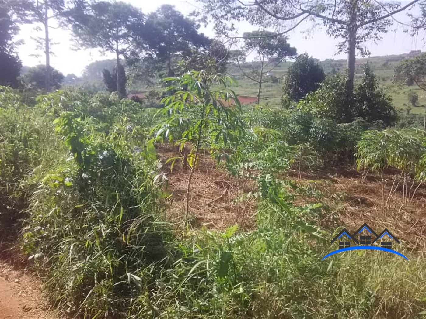 Commercial Land for sale in Kitende Wakiso