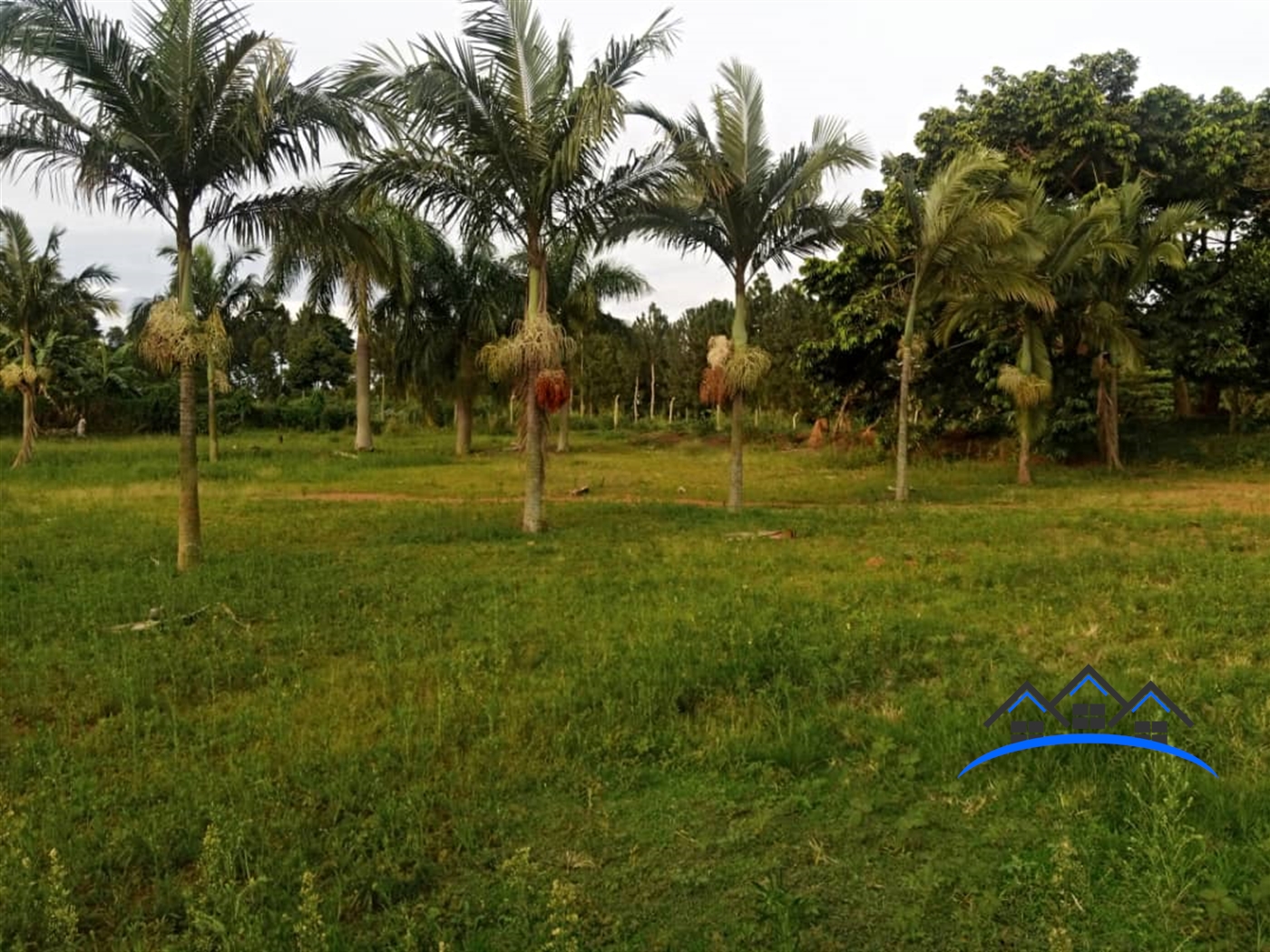 Beach for sale in Bwelenga Wakiso