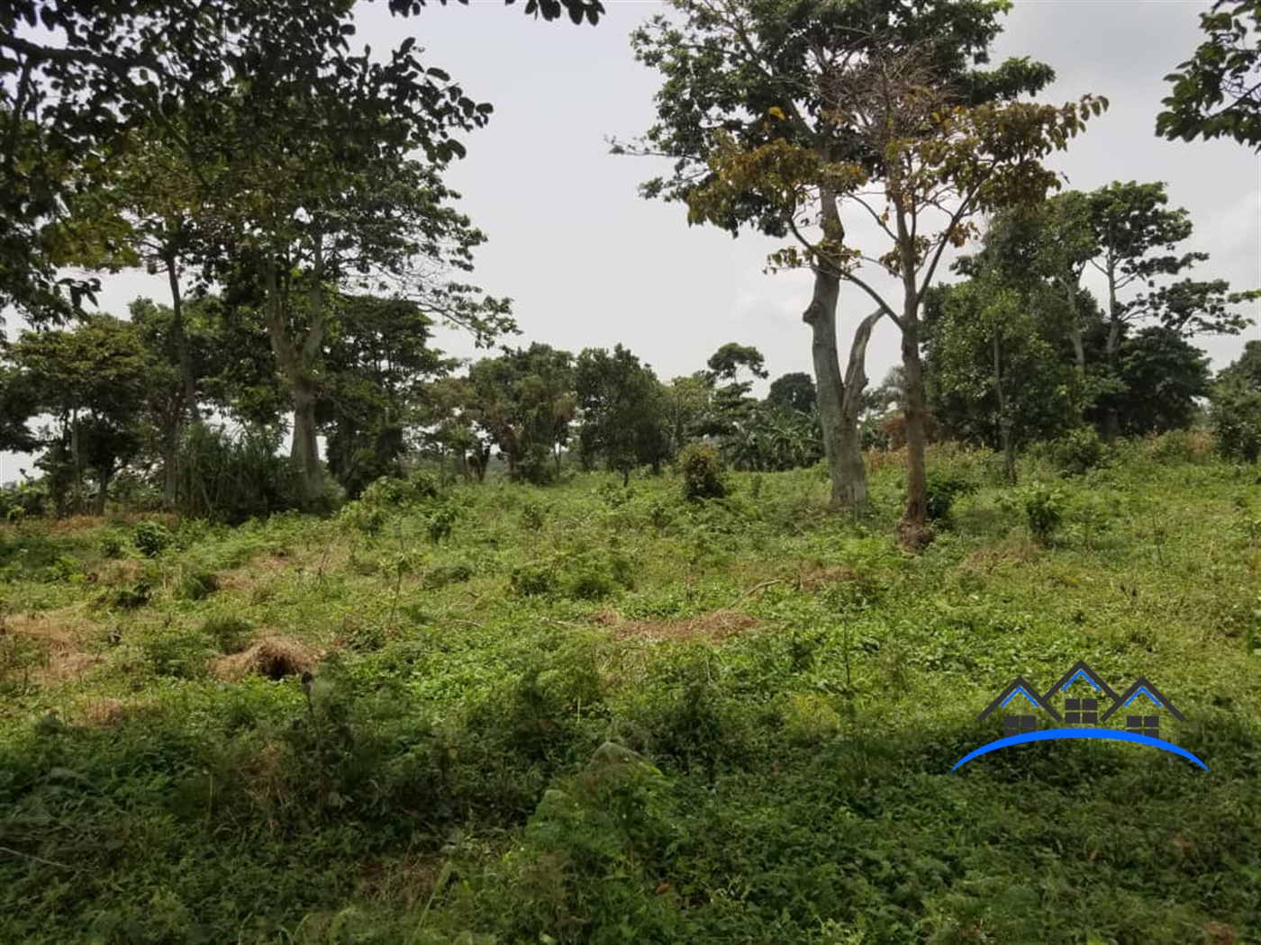 Multipurpose Land for sale in Garuga Wakiso