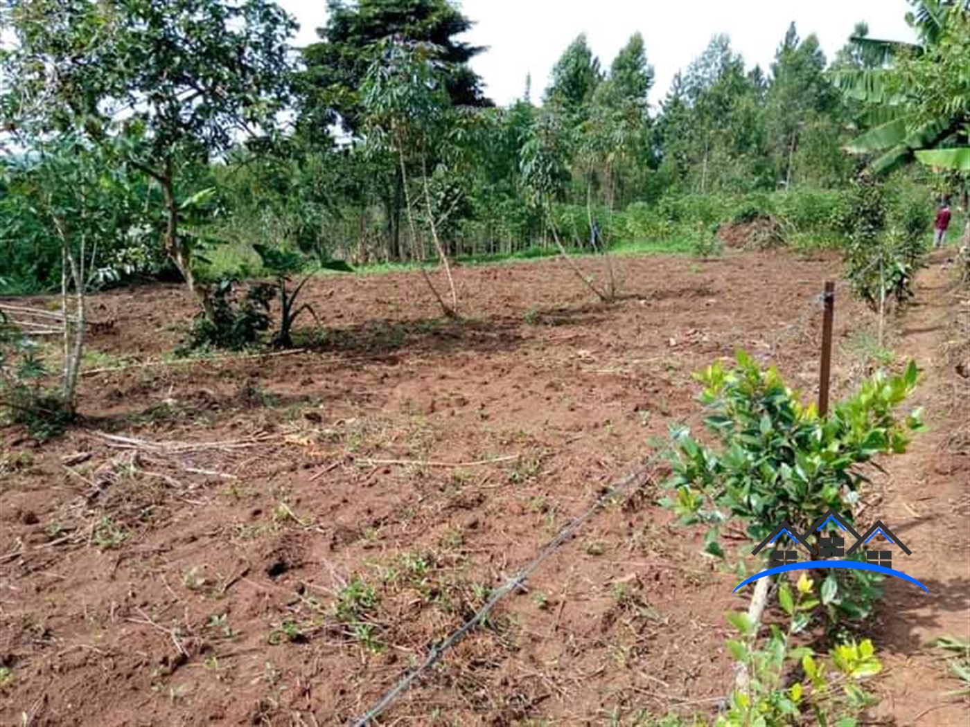 Multipurpose Land for sale in Kabembe Mukono