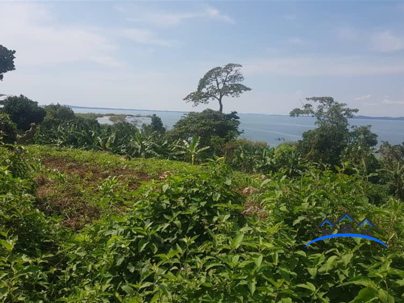Multipurpose Land for sale in Ssese Kalangala
