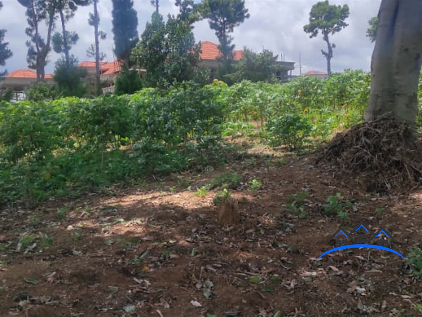 Multipurpose Land for sale in Bukasa Wakiso