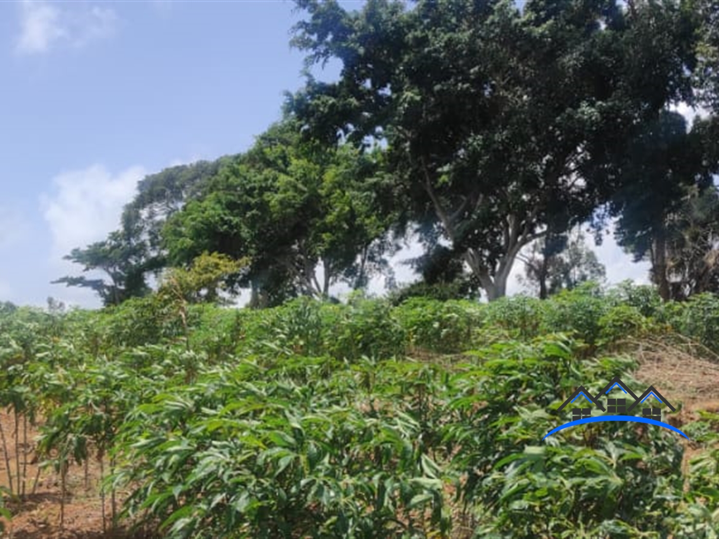 Multipurpose Land for sale in Bukasa Wakiso