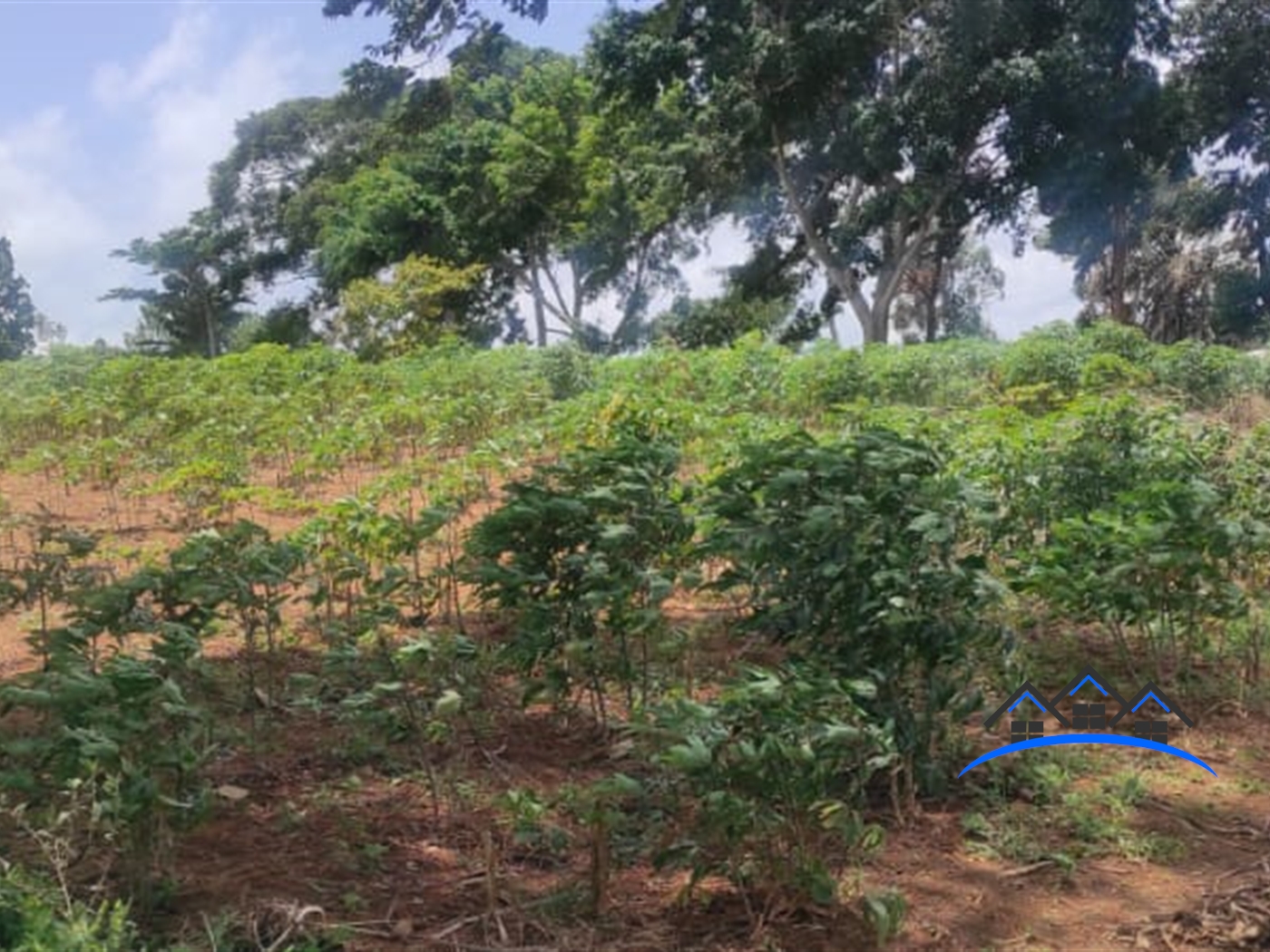 Multipurpose Land for sale in Bukasa Wakiso