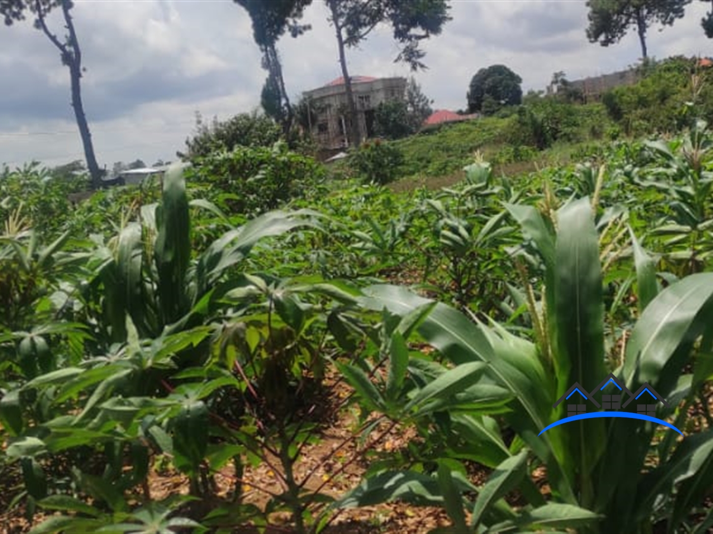 Multipurpose Land for sale in Bukasa Wakiso