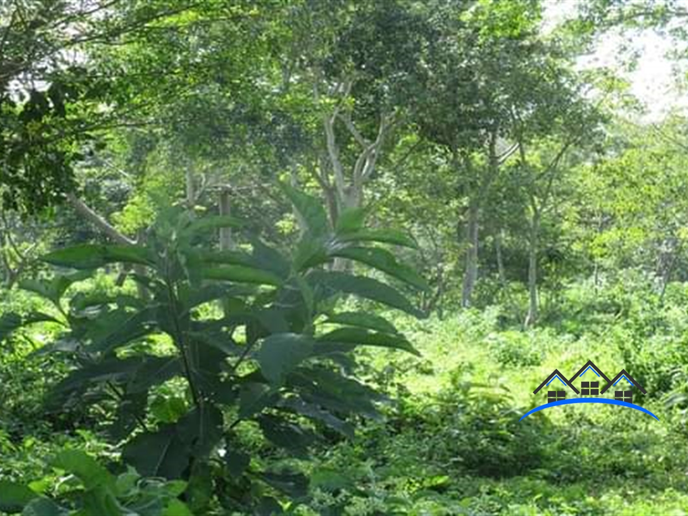 Multipurpose Land for sale in Nile Jinja