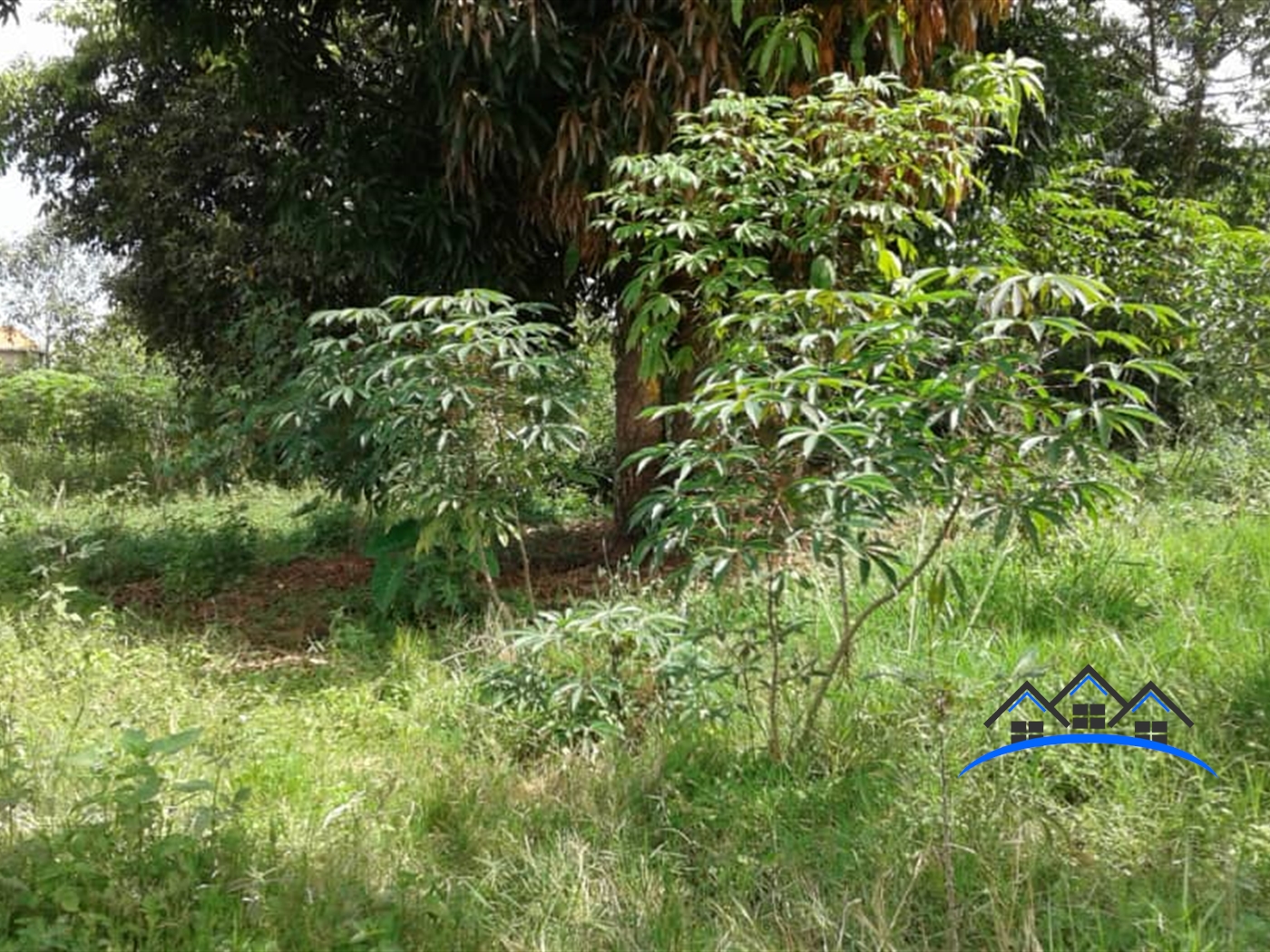 Multipurpose Land for sale in Namulanda Wakiso