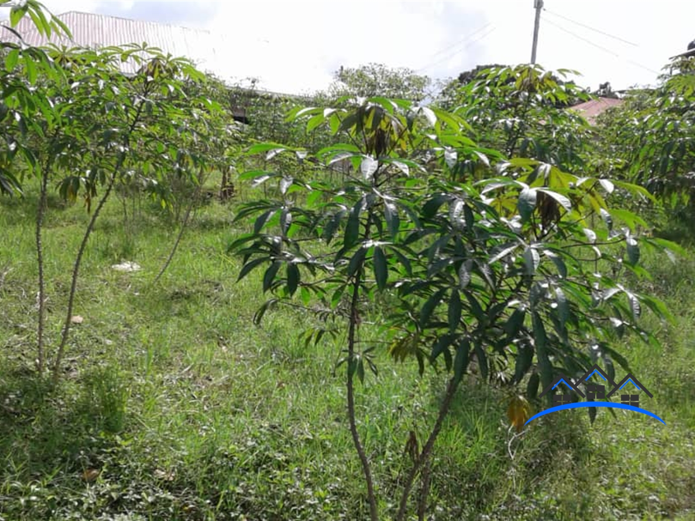 Multipurpose Land for sale in Namulanda Wakiso