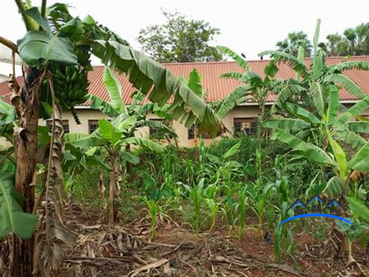 Commercial Land for sale in Zana Wakiso