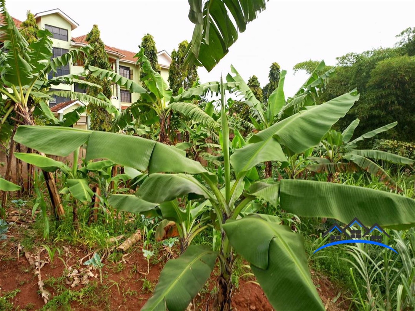 Commercial Land for sale in Zana Wakiso