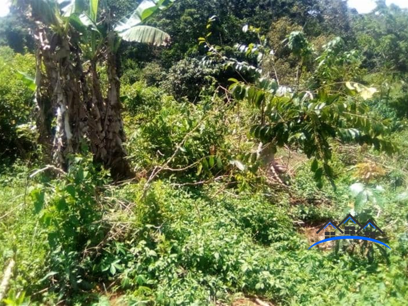 Multipurpose Land for sale in Kiwenda Wakiso