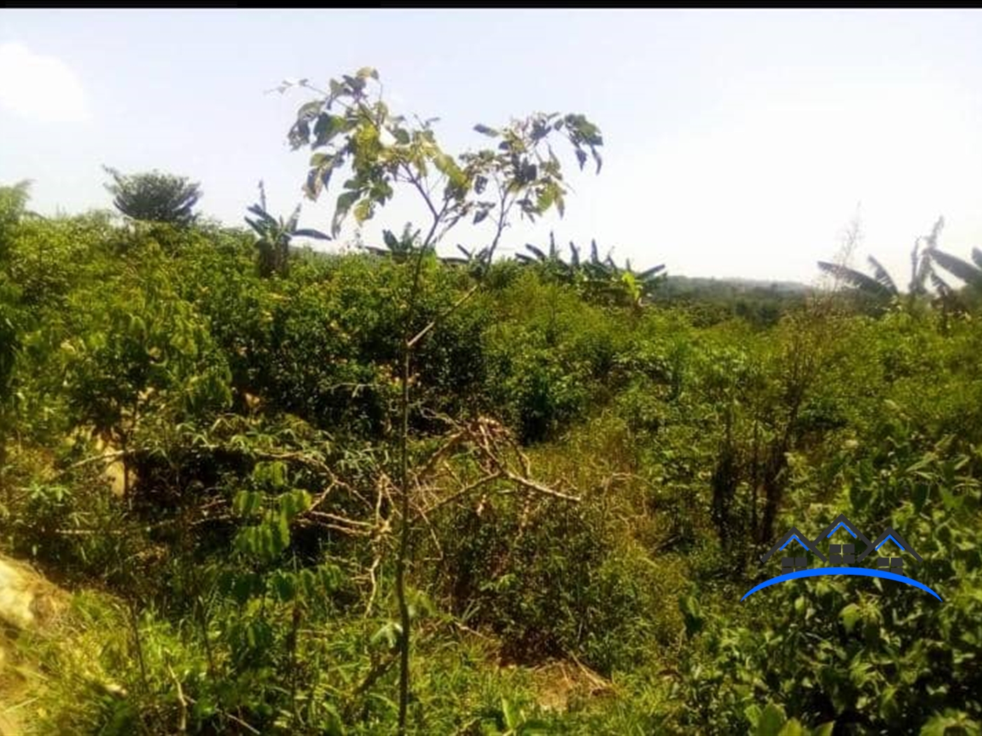 Multipurpose Land for sale in Bbaale Kayunga