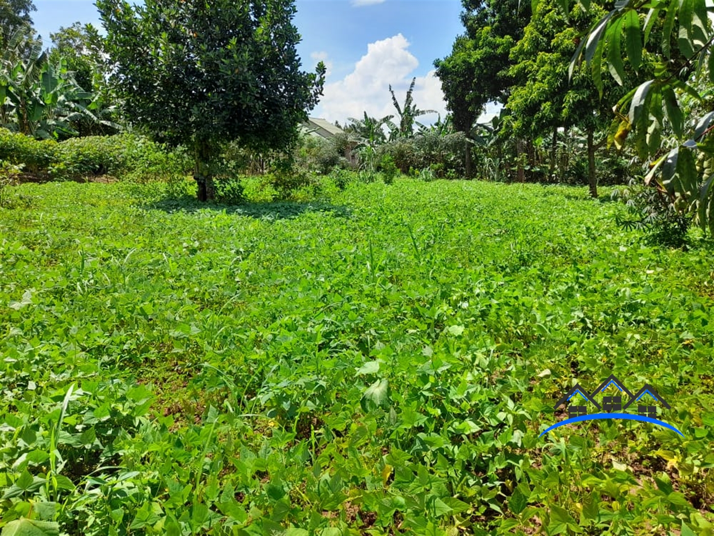 Residential Land for sale in Matugga Wakiso