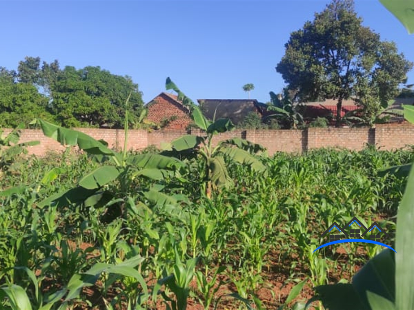 Commercial Land for sale in Nkumba Wakiso