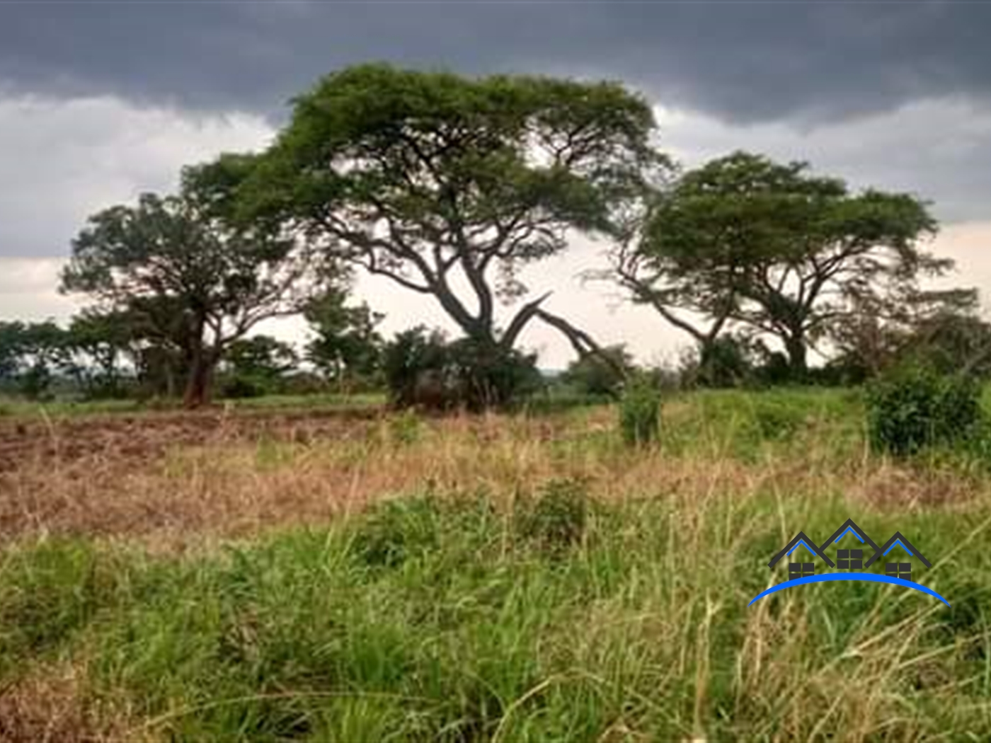 Multipurpose Land for sale in North Nwoya