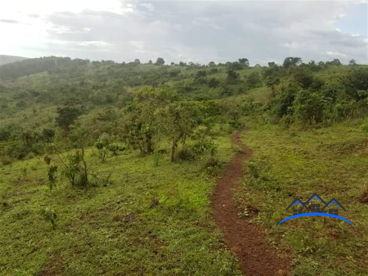 Farm for sale in Madudu Mubende