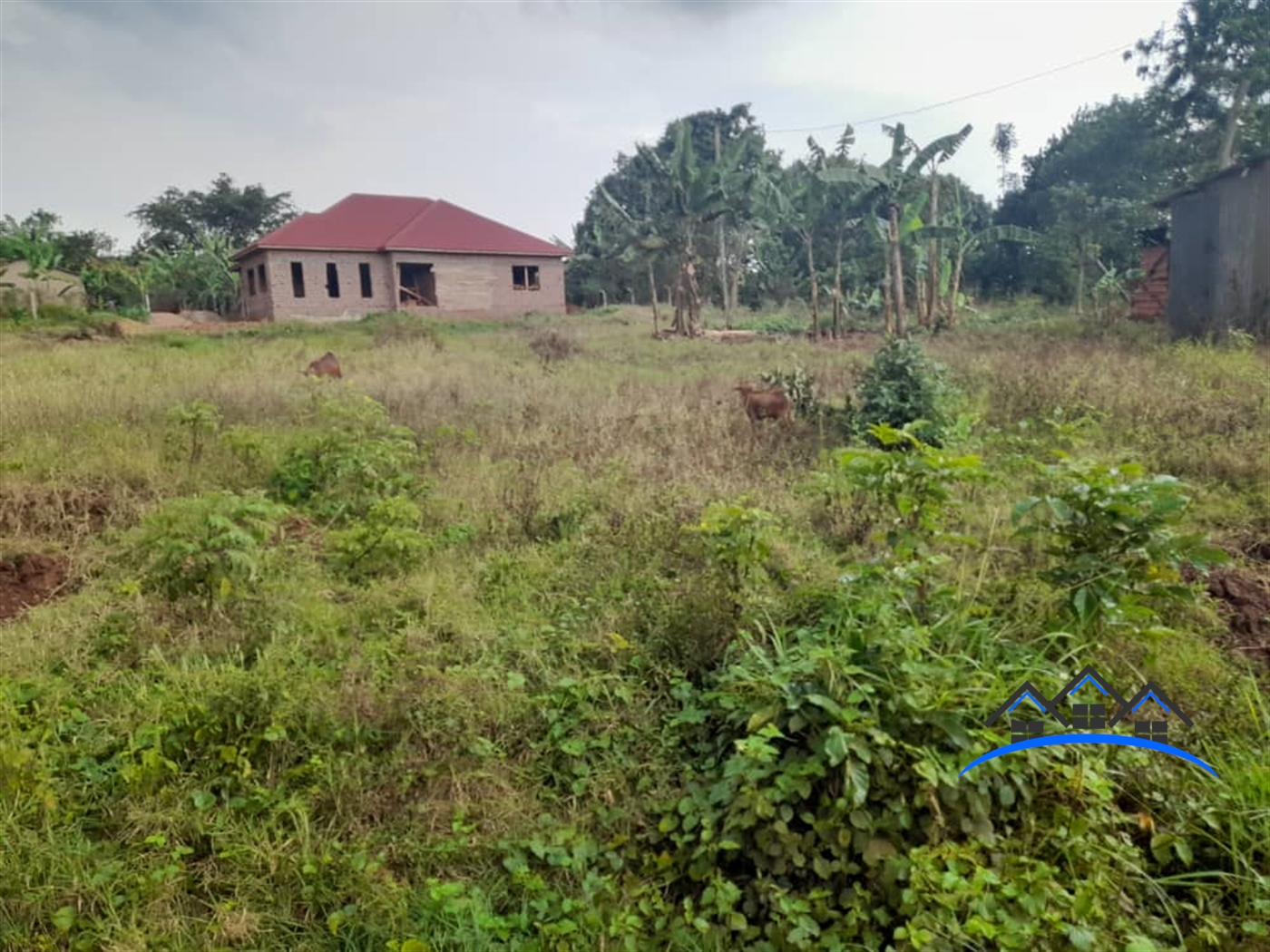 Residential Land for sale in Gayaza Wakiso