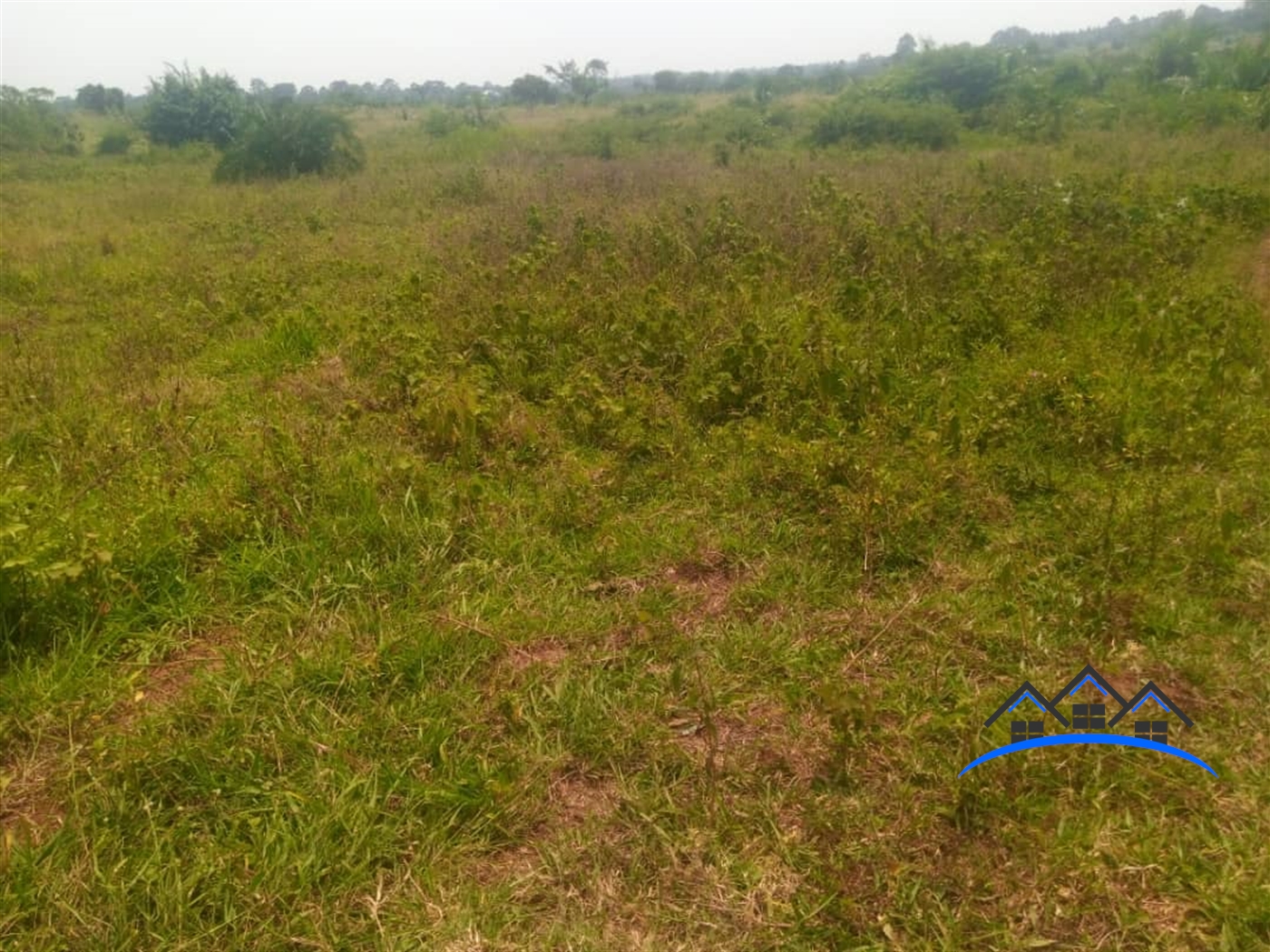 Commercial Land for sale in Gayaza Wakiso