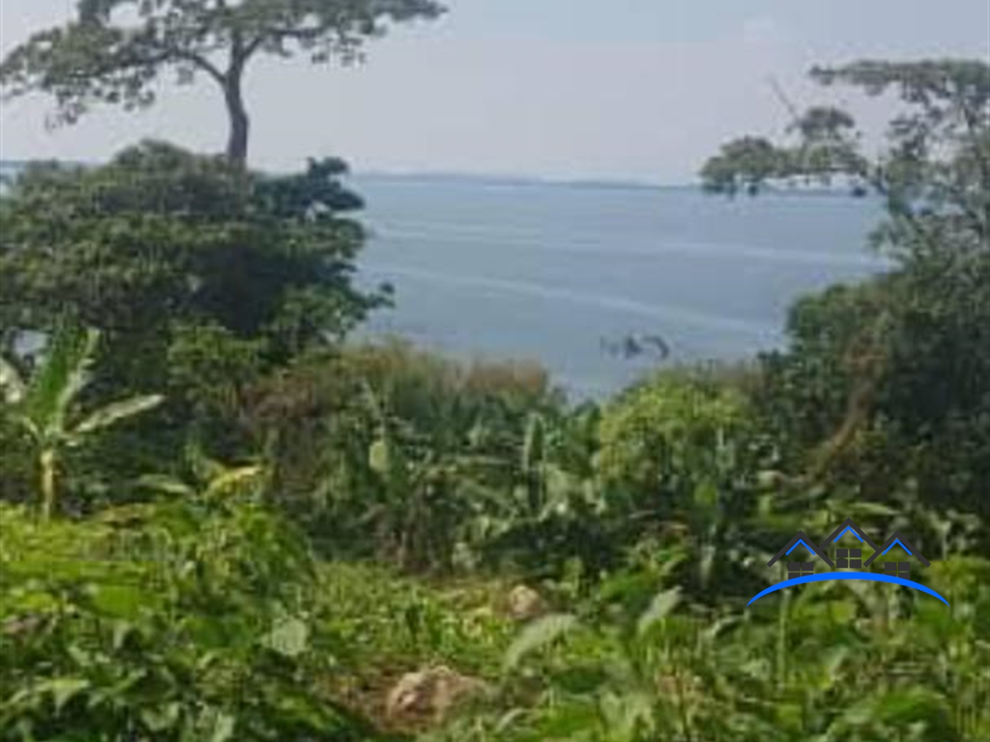 Multipurpose Land for sale in Ssesse Kalangala