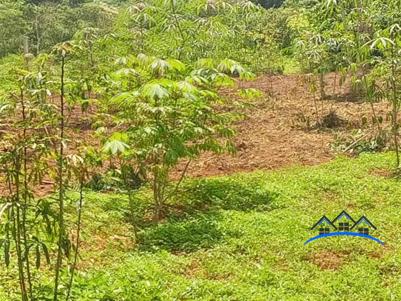 Residential Land for sale in Bukeelele Wakiso