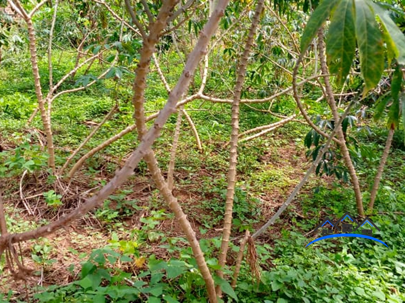 Residential Land for sale in Matugga Wakiso