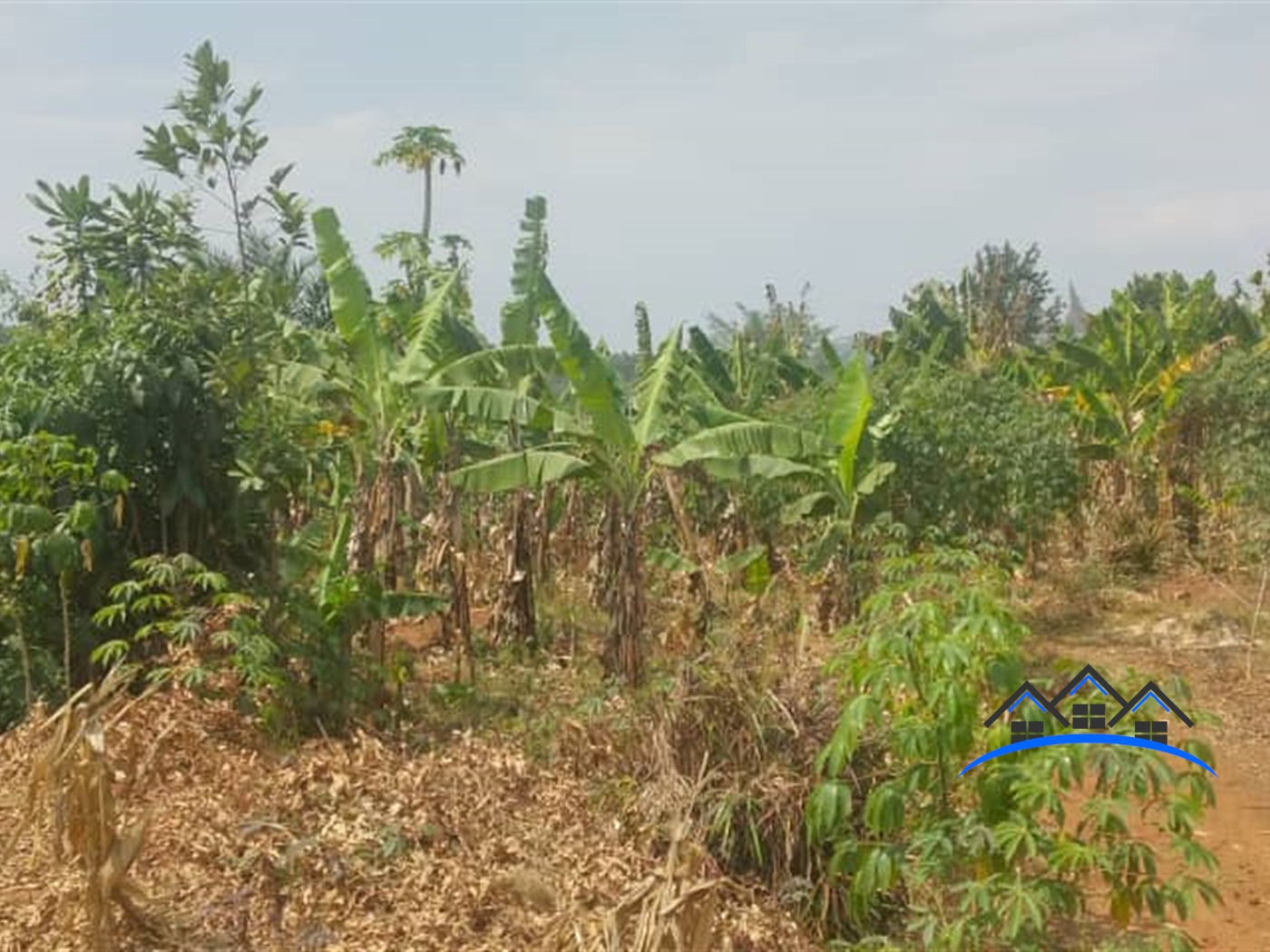 Commercial Land for sale in Namayiba Mukono