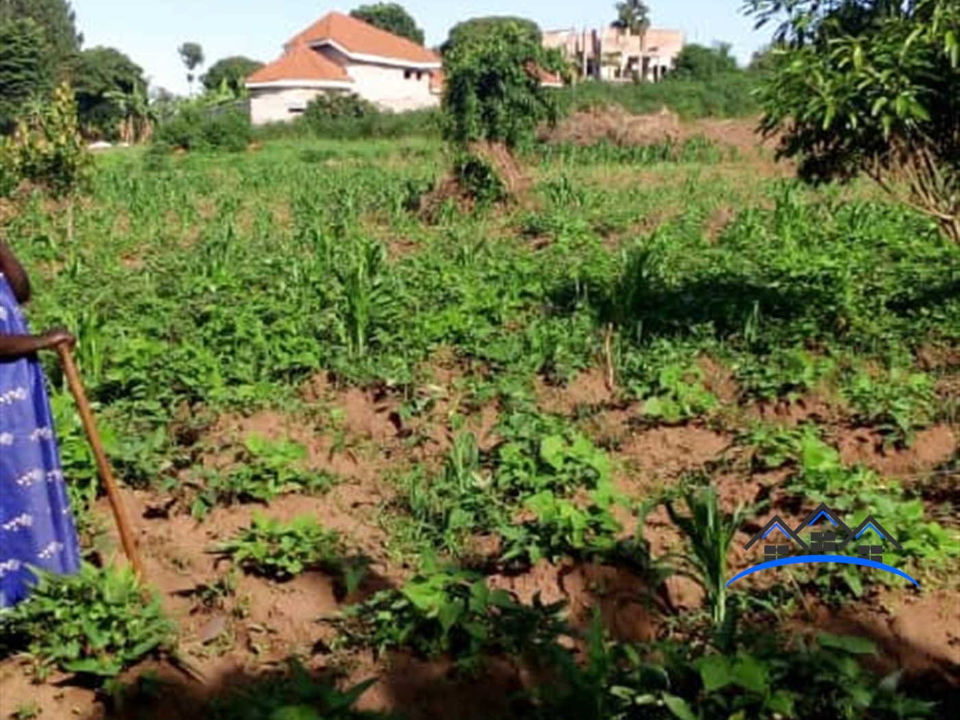 Commercial Land for sale in Lutembe Wakiso