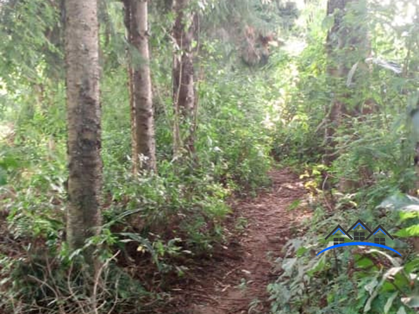 Commercial Land for sale in Lutembe Wakiso