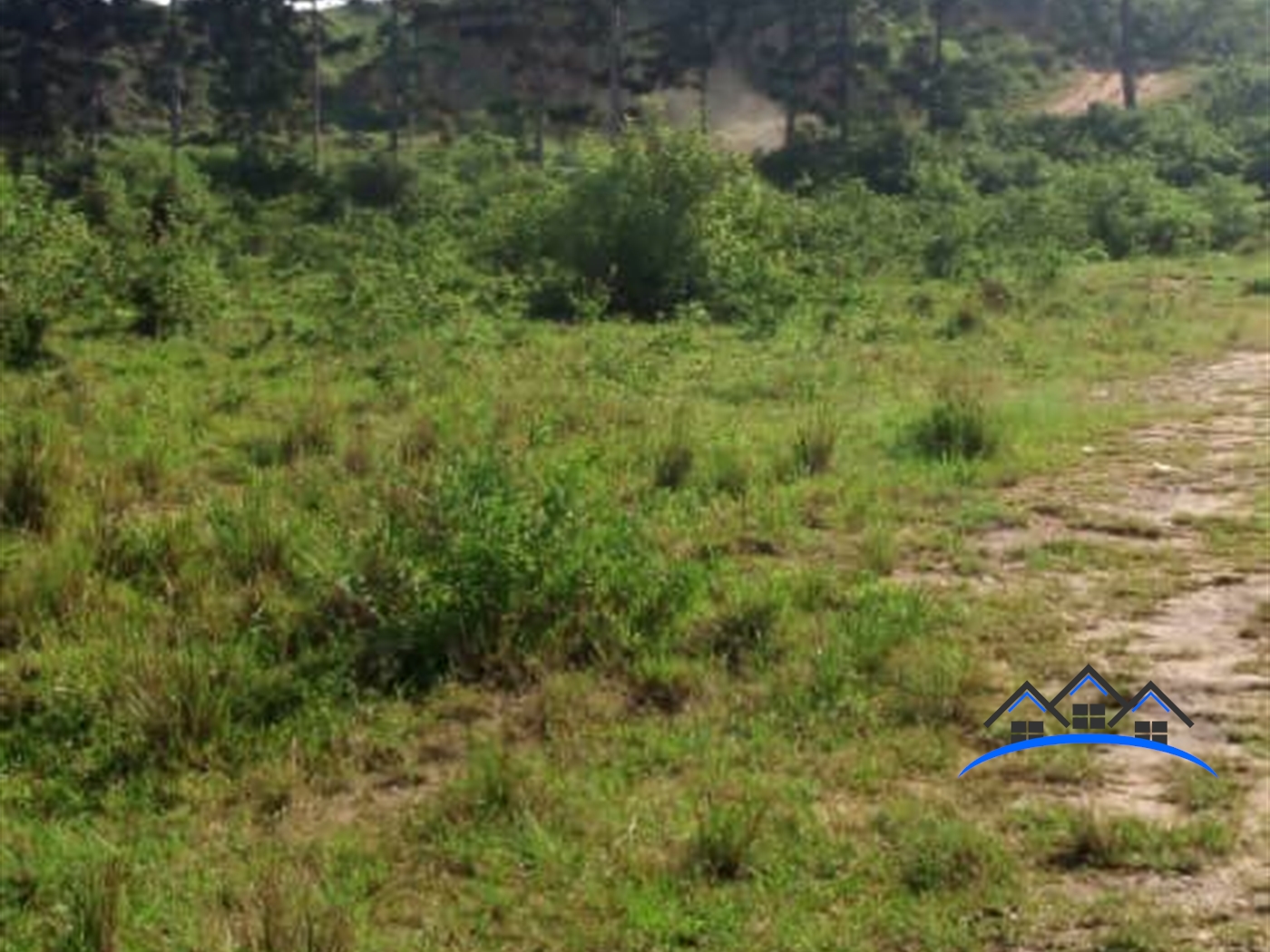 Commercial Land for sale in Lutembe Wakiso