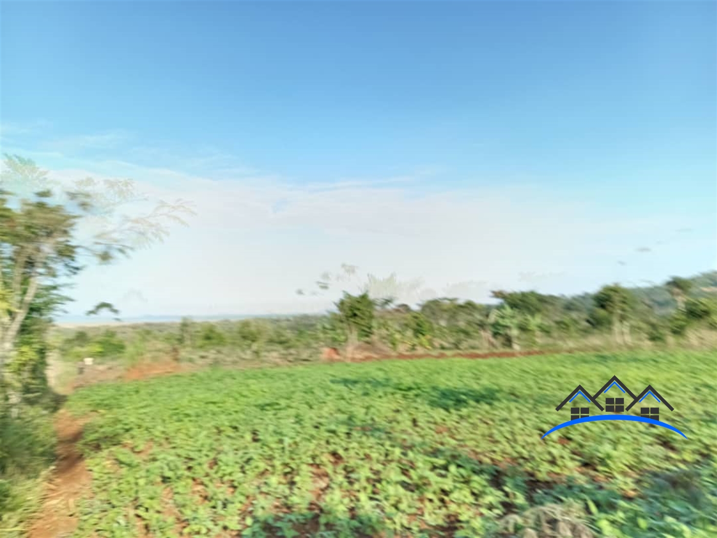 Agricultural Land for sale in Ntenjjeru Kayunga