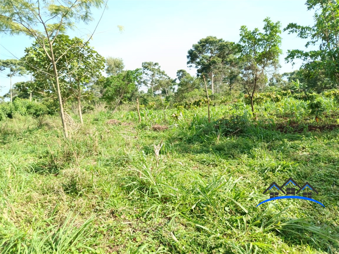 Multipurpose Land for sale in Nsanja Mukono