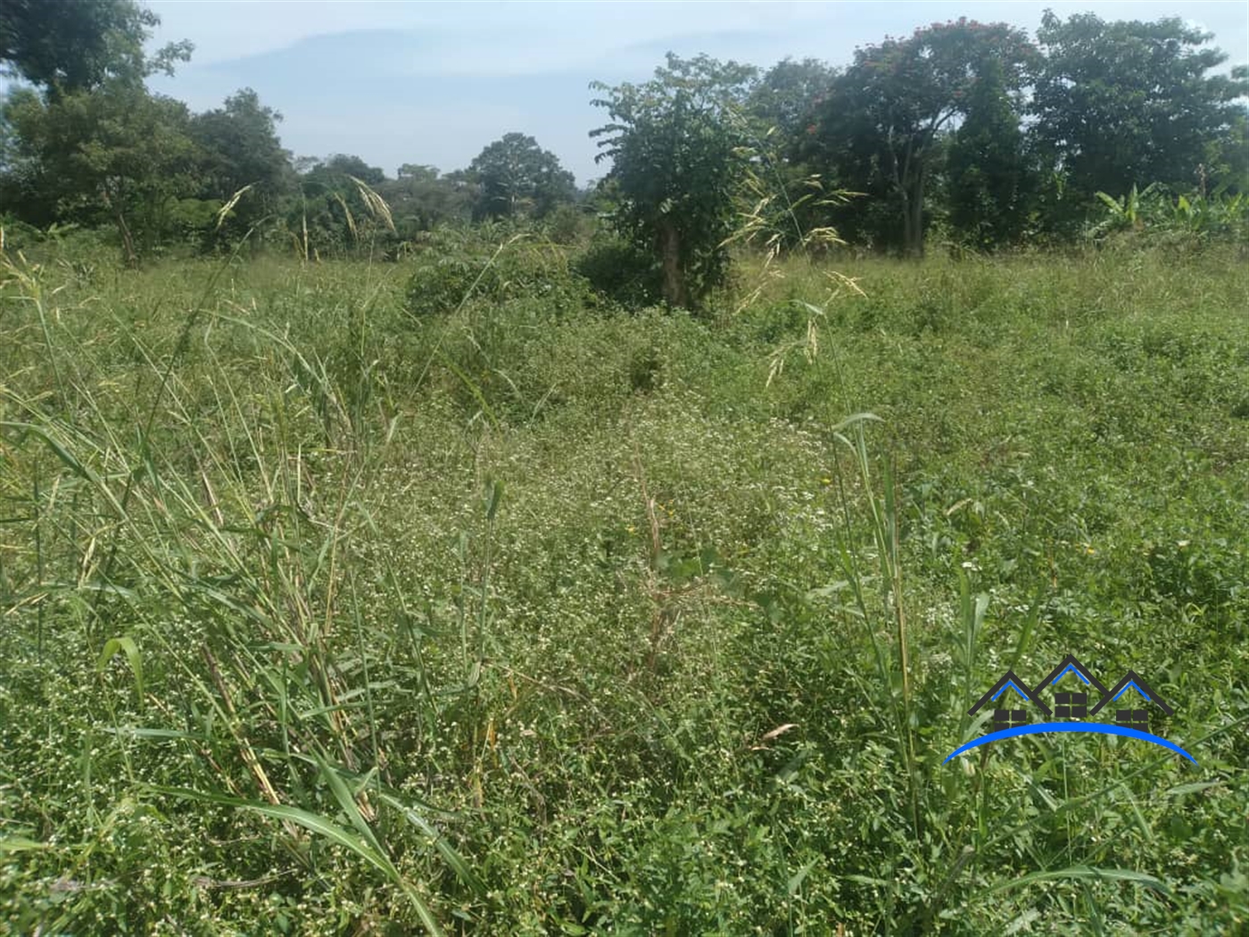Agricultural Land for sale in Busiika Mpigi