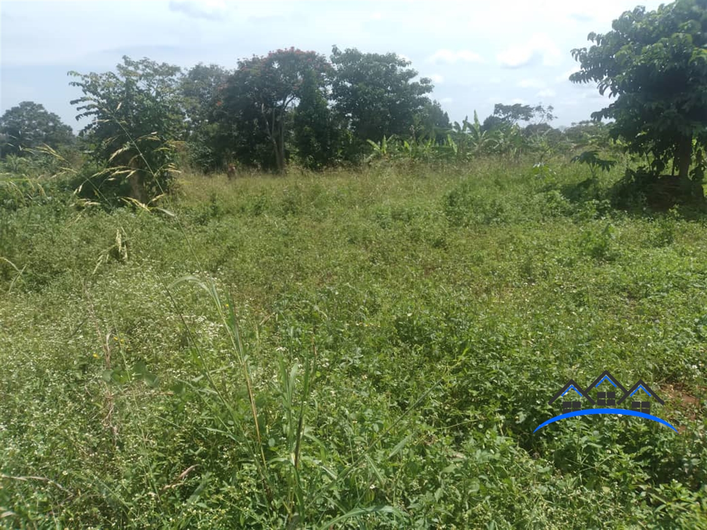 Agricultural Land for sale in Busiika Mpigi