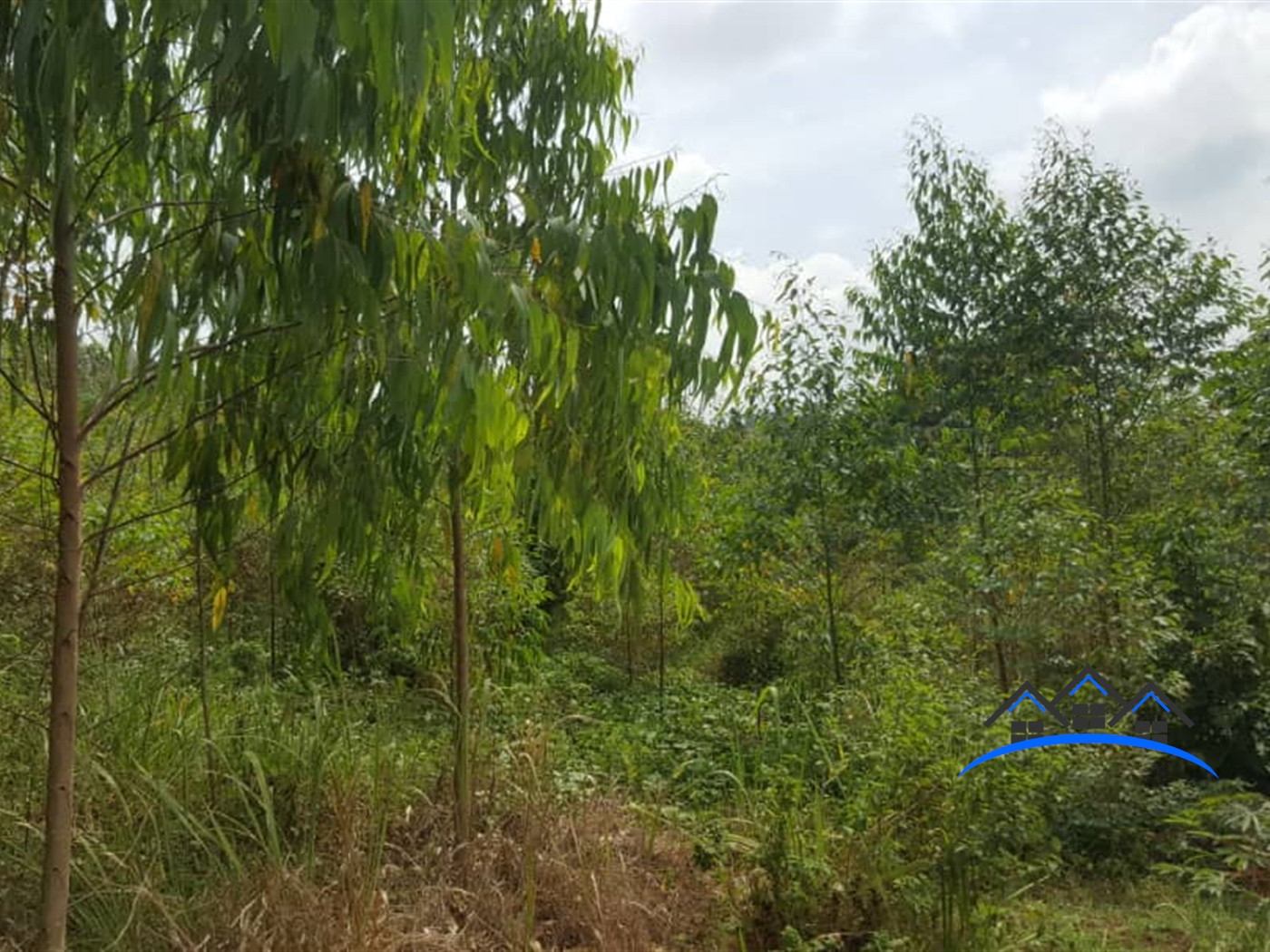 Residential Land for sale in Namawojjolo Mukono