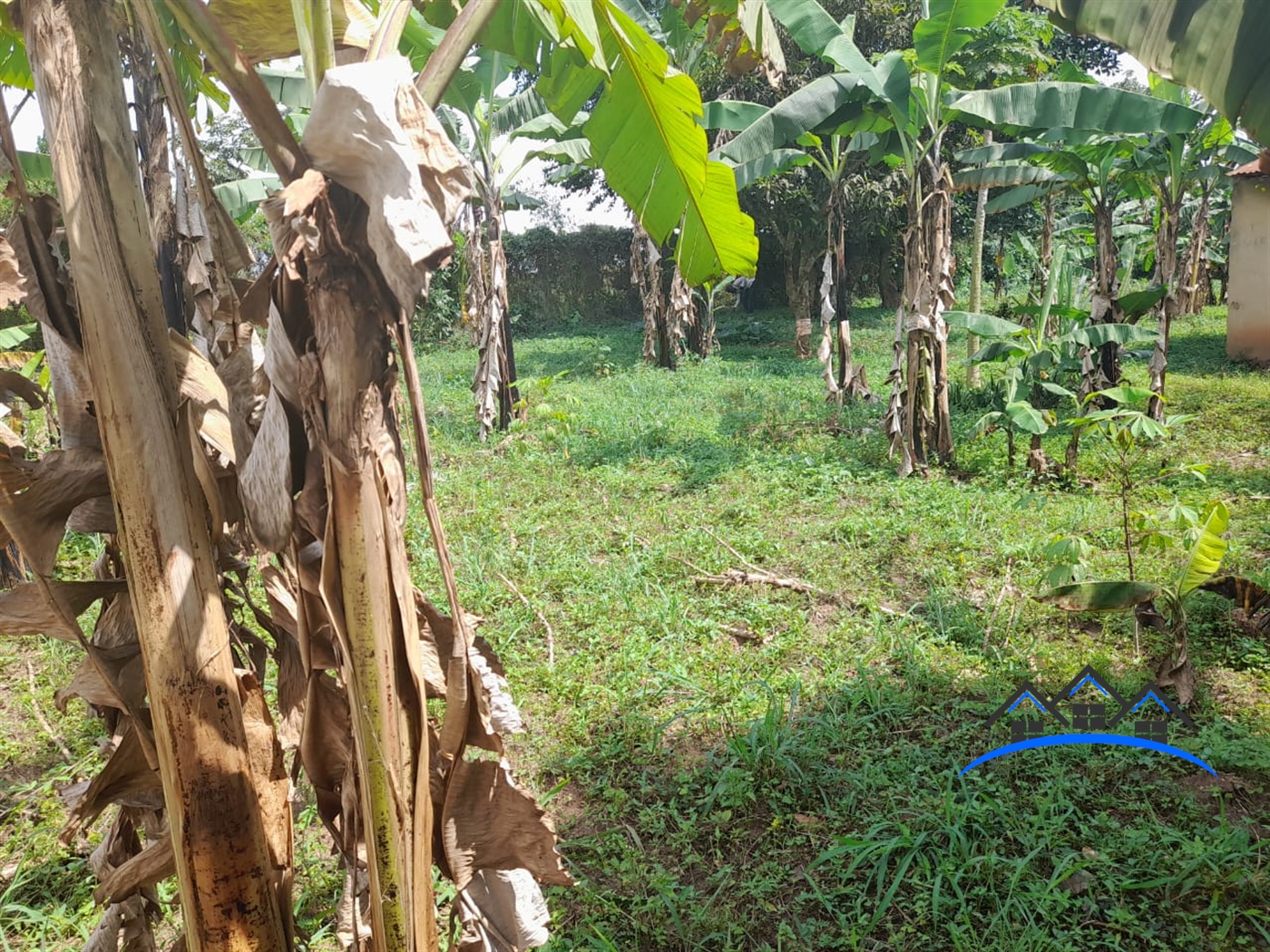 Residential Land for sale in Gayaza Wakiso