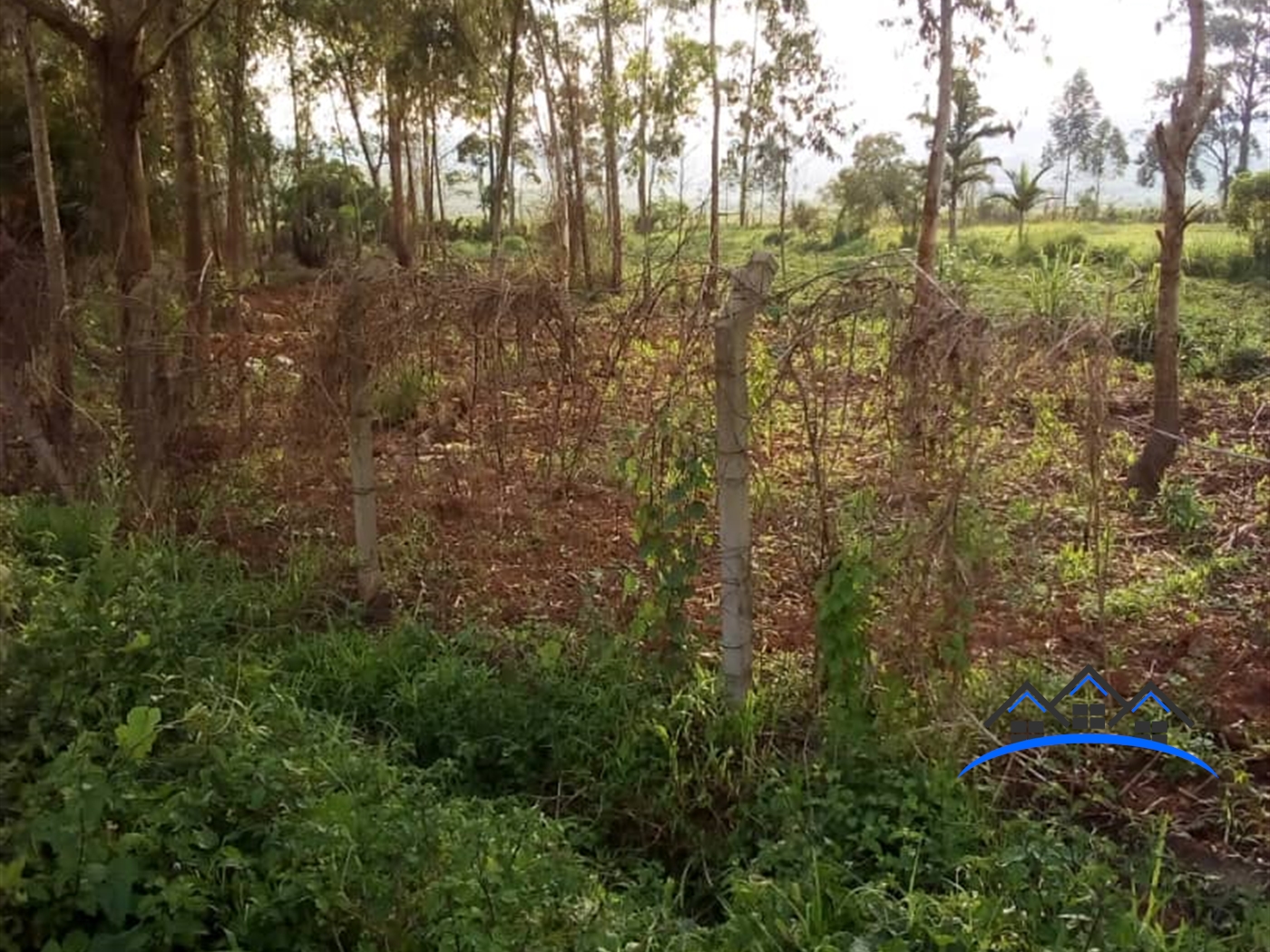 Agricultural Land for sale in Ntwetwe Kiboga