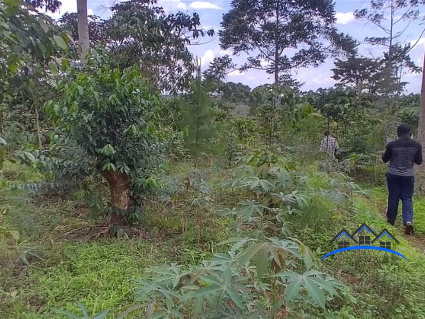 Agricultural Land for sale in Kikakanya Buyikwe