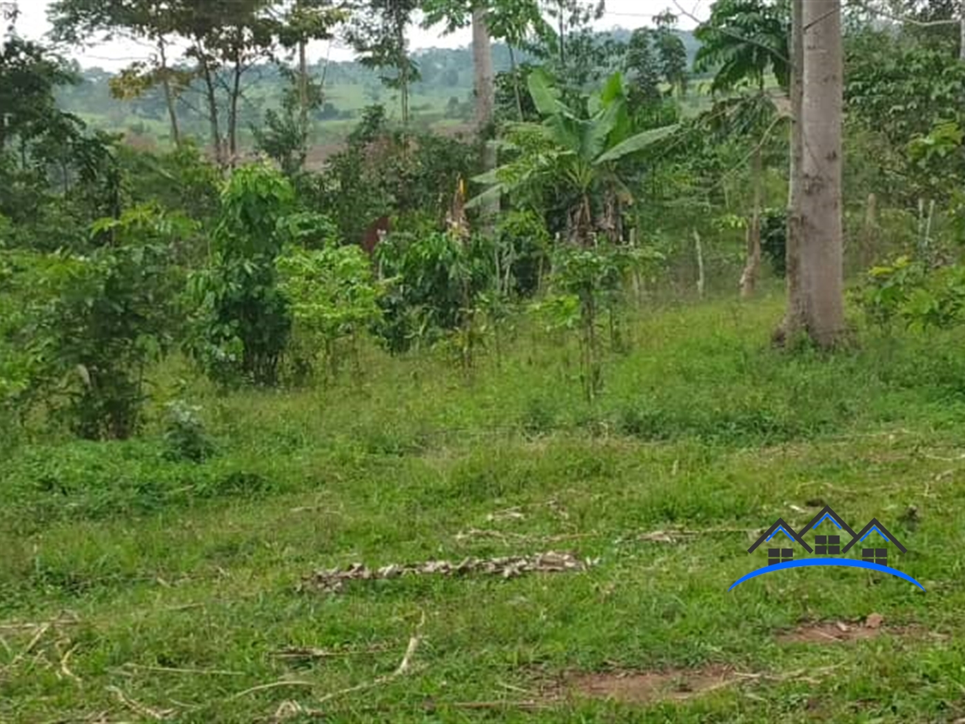 Agricultural Land for sale in Kikakanya Buyikwe