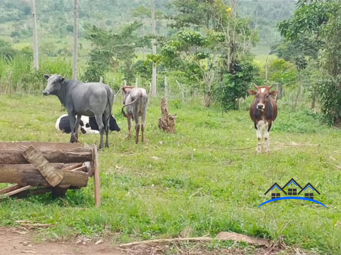 Agricultural Land for sale in Kikakanya Buyikwe