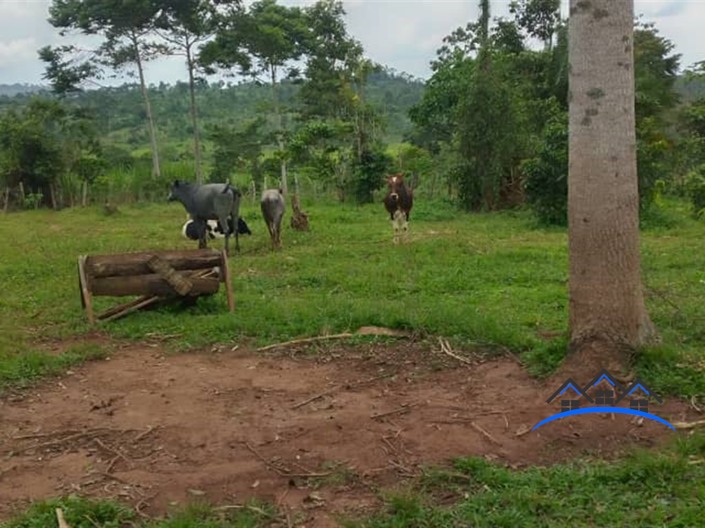 Agricultural Land for sale in Kikakanya Buyikwe