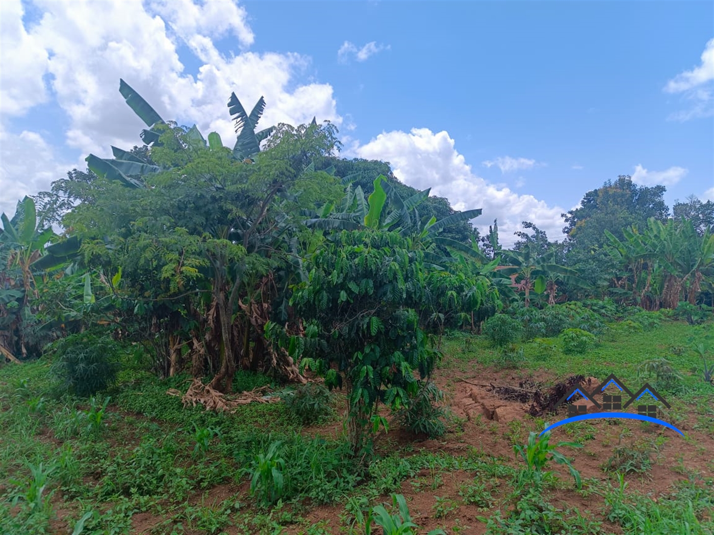 Residential Land for sale in Kiwenda Wakiso