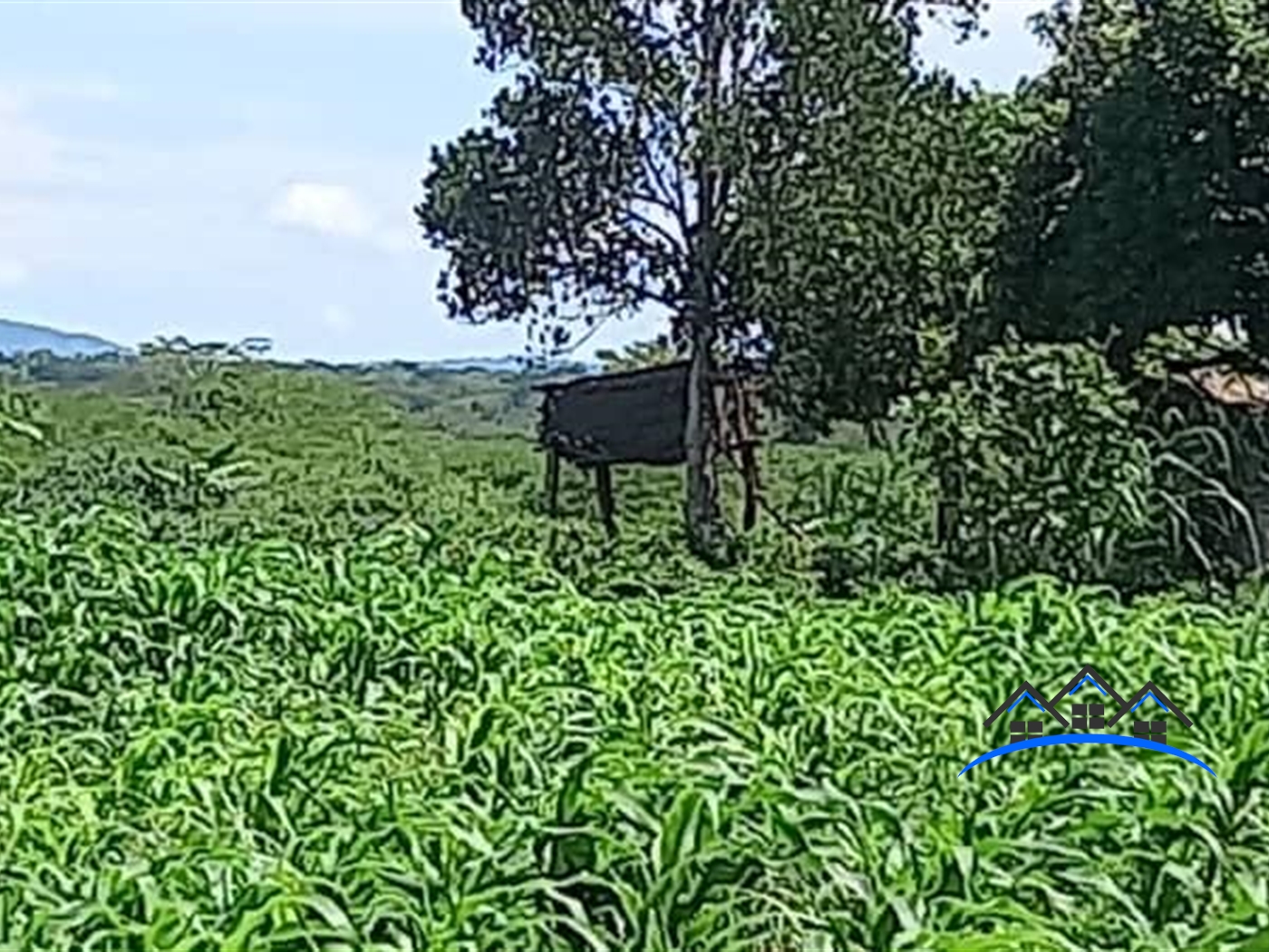 Agricultural Land for sale in Kiyebe Rakai