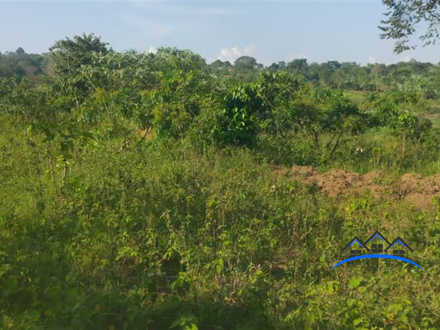 Residential Land for sale in Nsavu Bugiri