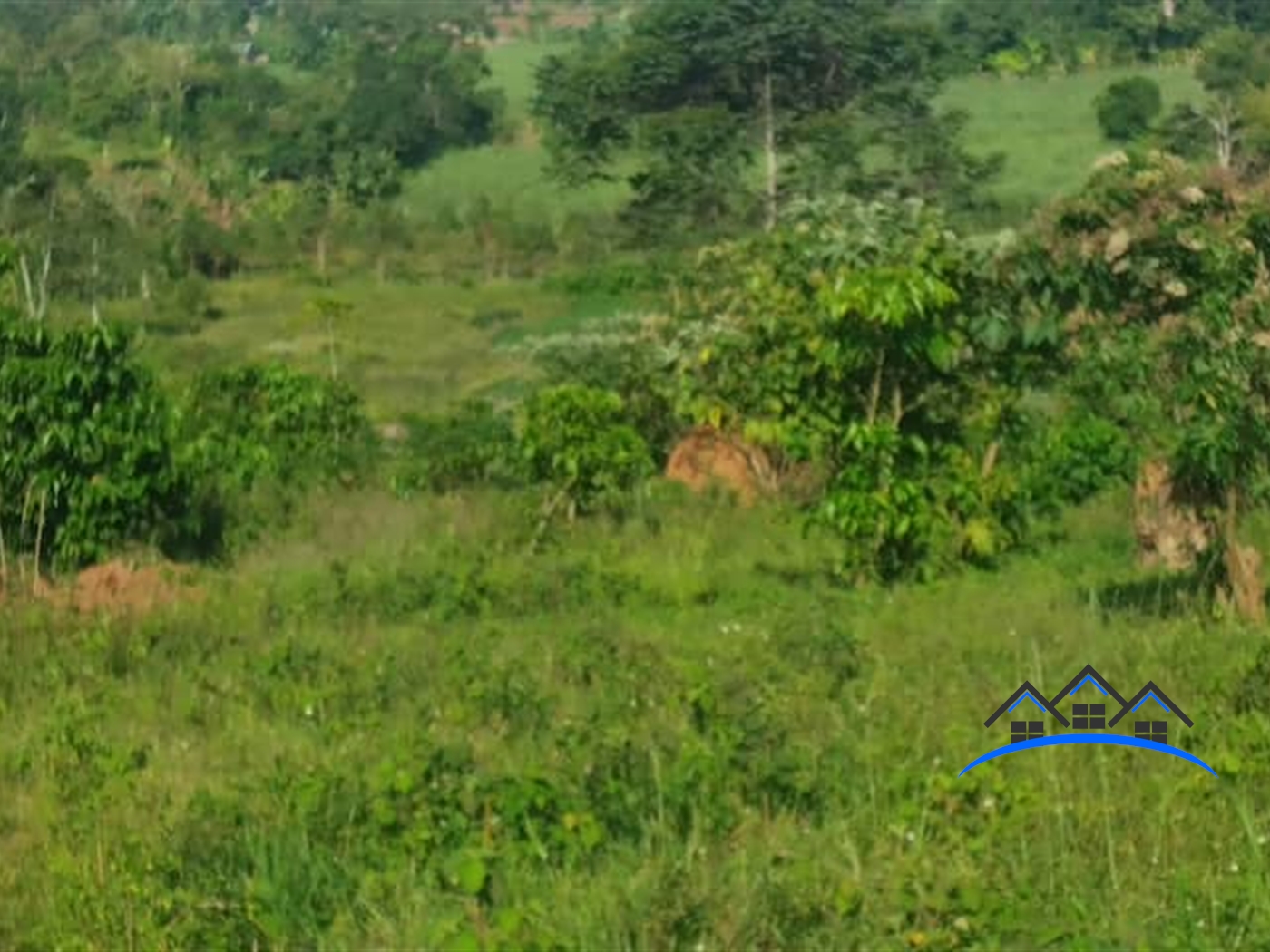 Residential Land for sale in Nsavu Bugiri