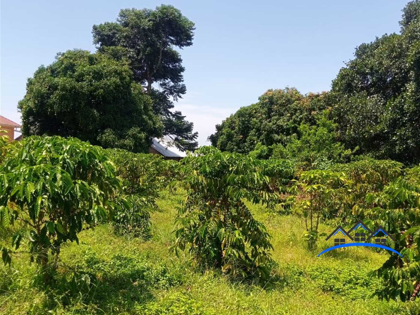 Agricultural Land for sale in Bubwa Buyikwe