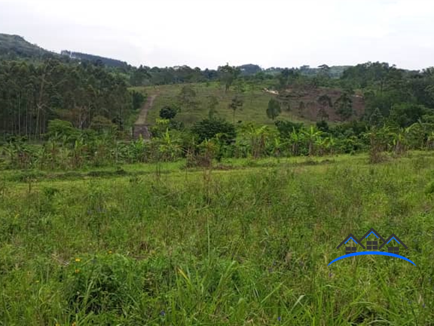 Residential Land for sale in Kikonge Kibaale