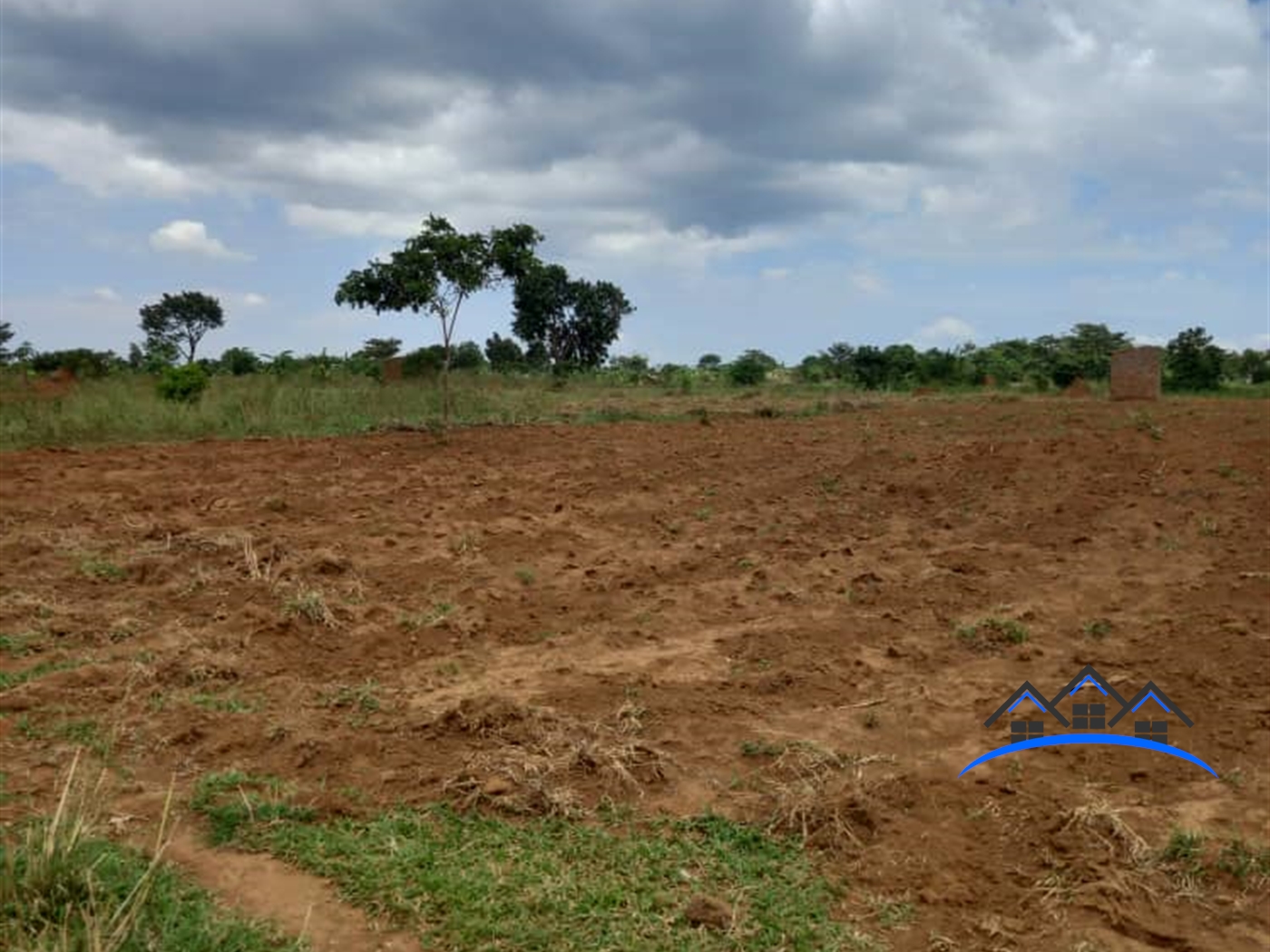Agricultural Land for sale in Busoga Mayuge
