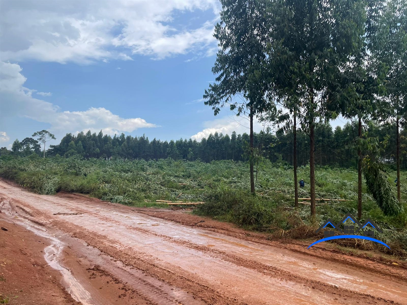 Agricultural Land for sale in Namanve Wakiso
